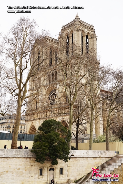 The Cathedral Notre Dame de Paris